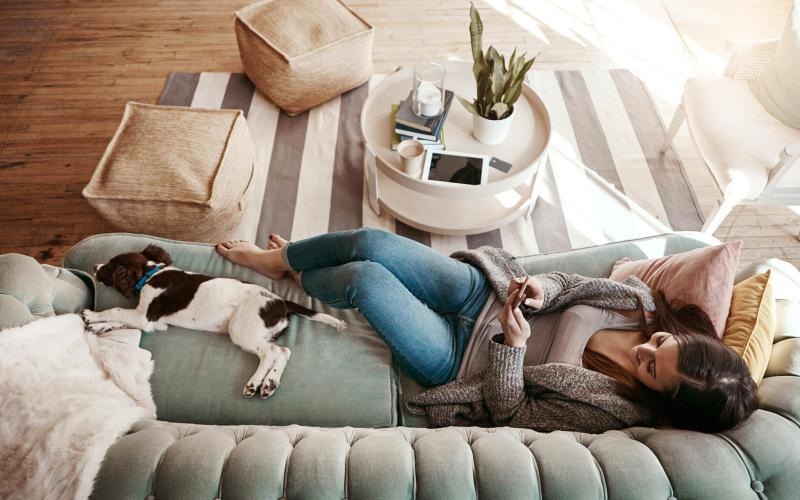 overhead view of  a woman texting as she lies on a couch with a dog at her feet